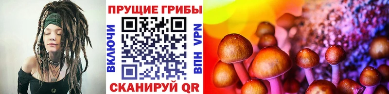 Псилоцибиновые грибы GOLDEN TEACHER МЕГА ссылка Армянск
